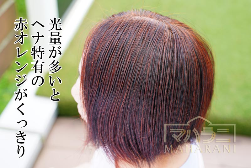 人気新品入荷 ヘナ 100％ 400g 送料無料 沖縄は770円 白髪染め ヘナカラー 赤茶系